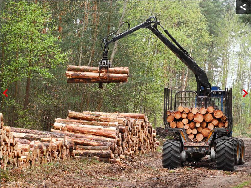 D1495769720657.jpg D1495769720657.jpg