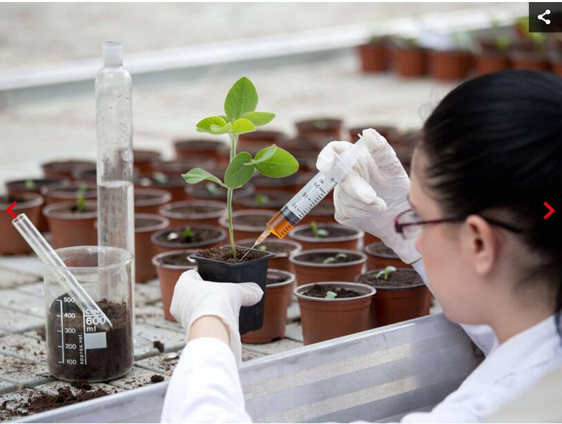 D1495769720669.jpg D1495769720669.jpg