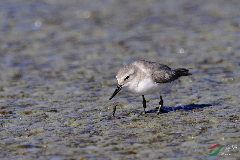 155519awzc36s66dj1s663.jpg 155519awzc36s66dj1s663.jpg