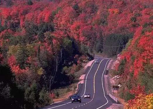 5bb3b5fe1e0748dda1e5d59bf8592f82.png 5bb3b5fe1e0748dda1e5d59bf8592f82.png