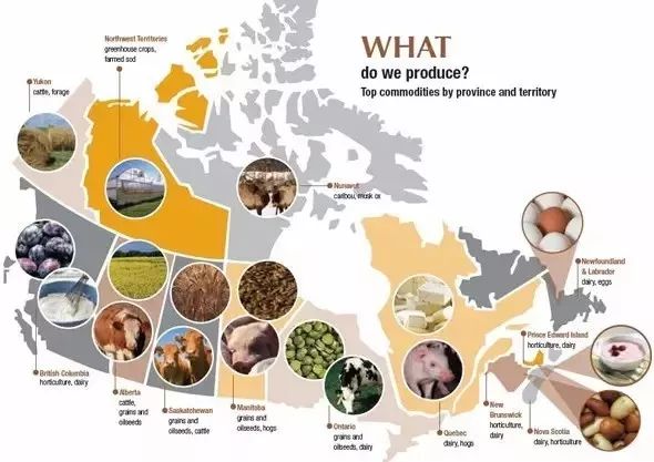 微信圖片_20190116181457.jpg 微信圖片_20190116181457.jpg