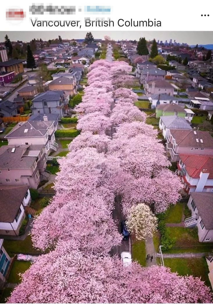 微信圖片_20190404145230_副本.jpg 微信圖片_20190404145230_副本.jpg