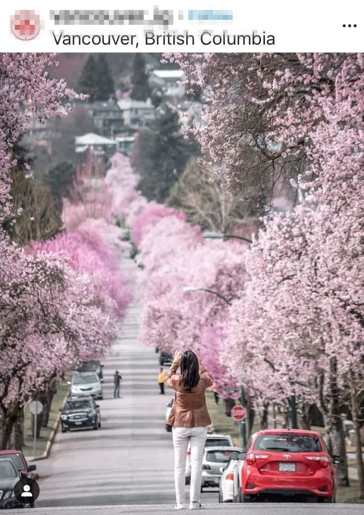 微信圖片_20190404145541_副本.jpg 微信圖片_20190404145541_副本.jpg