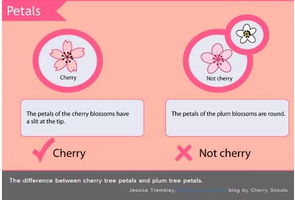 微信圖片_20190404145552.jpg 微信圖片_20190404145552.jpg