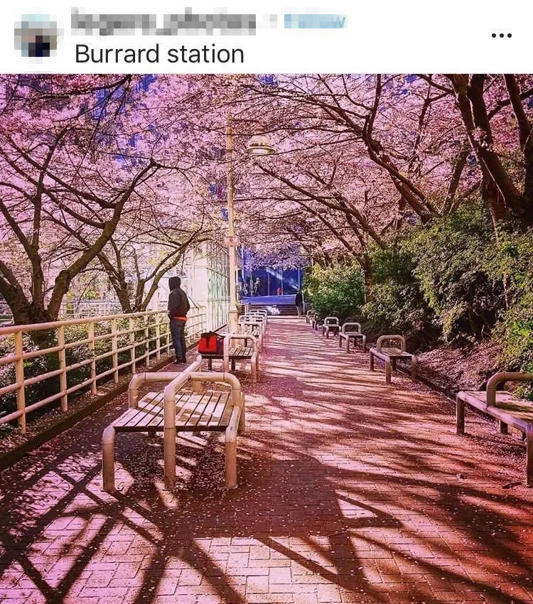 微信圖片_20190404145630_副本.jpg 微信圖片_20190404145630_副本.jpg